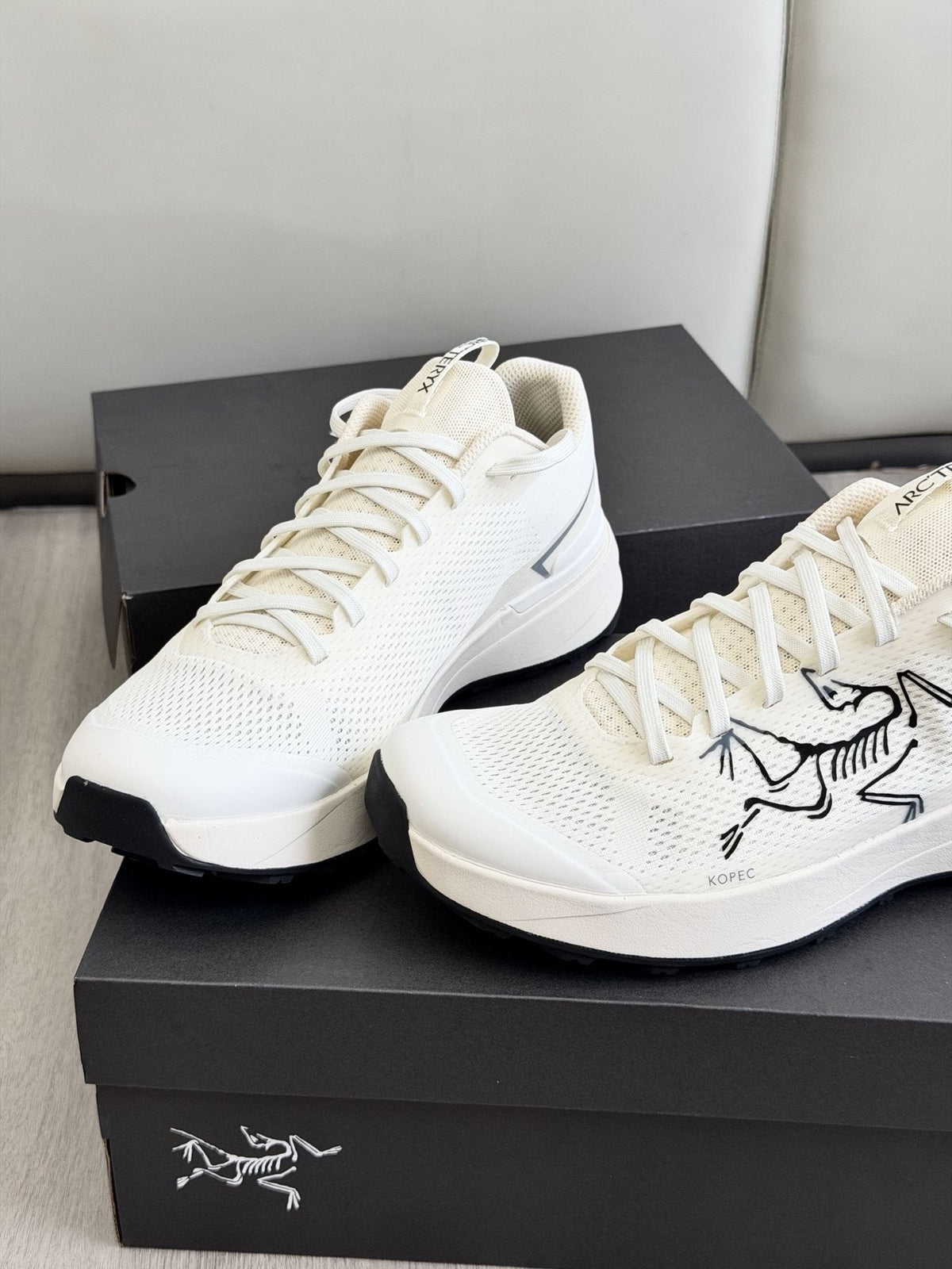 Arc'teryx Low-Cut Hiking Shoes — front
