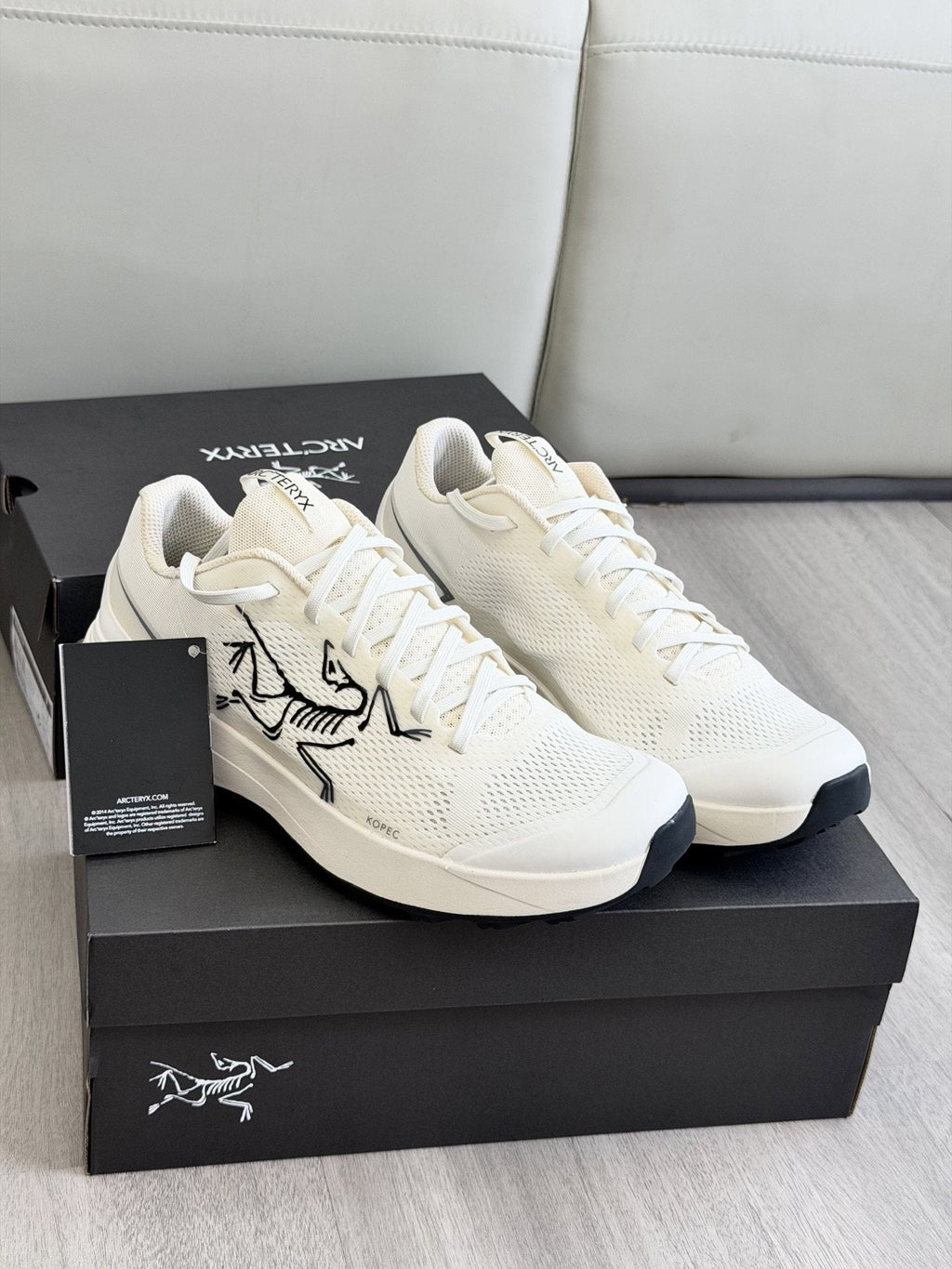 Arc'teryx Low-Cut Hiking Shoes — hero