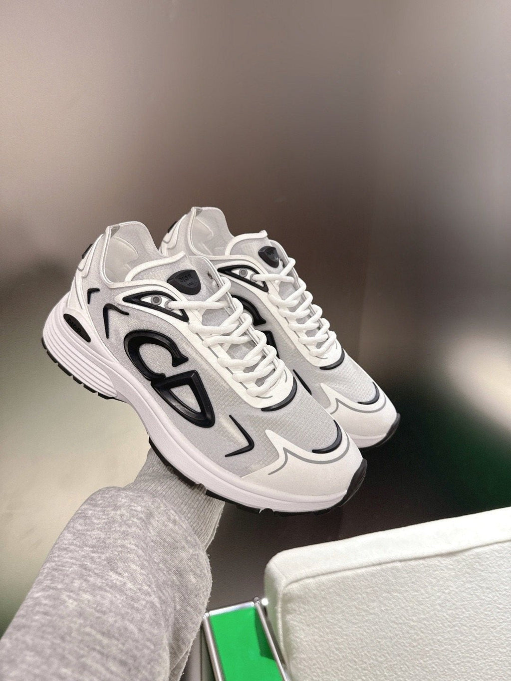 Dior Black and White Accent Low-Top Sneakers — model