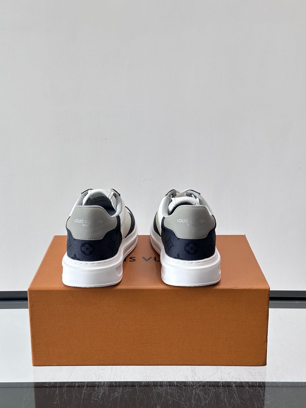 Louis Vuitton Monogram Panel Low-Top Sneakers — back