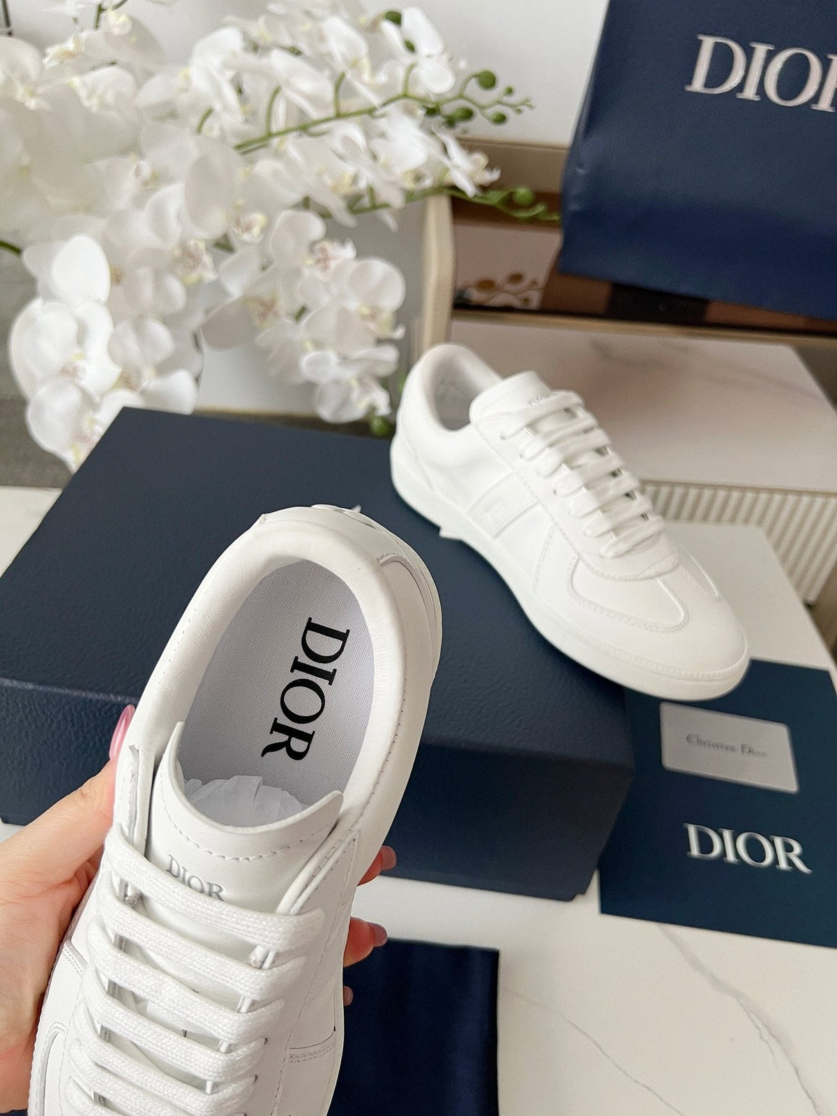 Dior B01 Low-Top Sneakers — back
