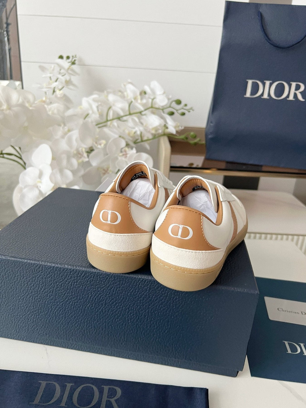 Dior B01 Low-Top Sneakers — back